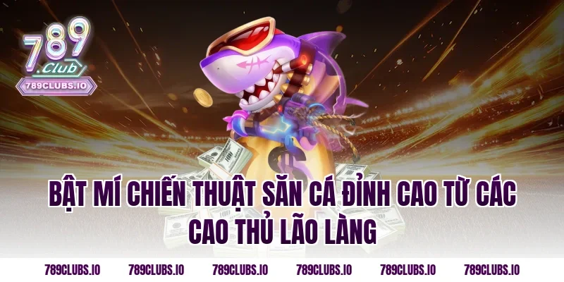 Bật mí chiến thuật săn cá đỉnh cao từ các cao thủ lão làng